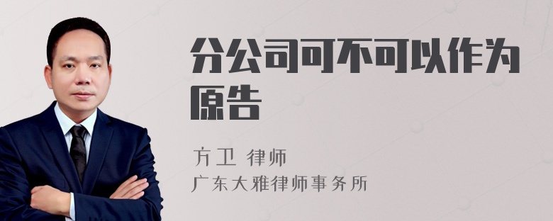 分公司可不可以作为原告