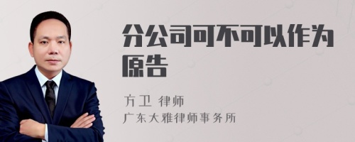 分公司可不可以作为原告