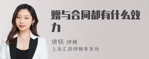 赠与合同都有什么效力