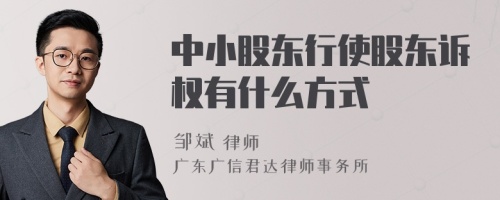 中小股东行使股东诉权有什么方式