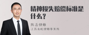 精神损失赔偿标准是什么？