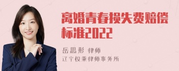 离婚青春损失费赔偿标准2022