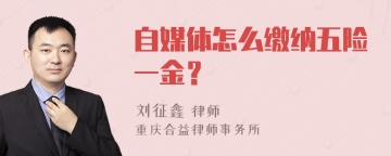 自媒体怎么缴纳五险一金？