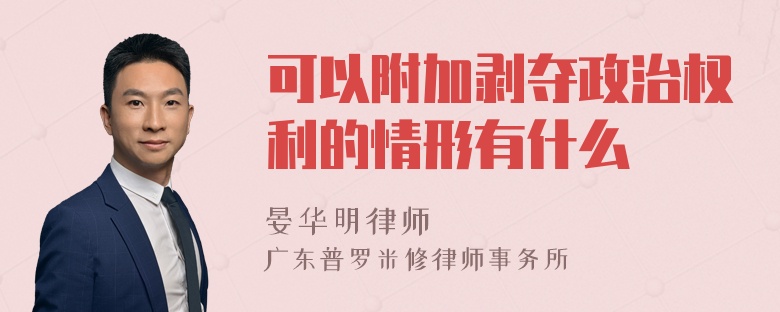 可以附加剥夺政治权利的情形有什么