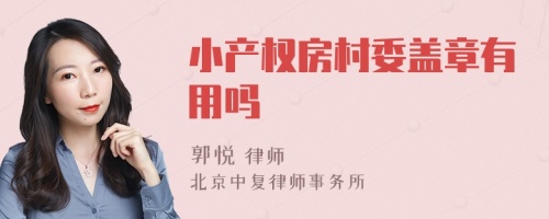 小产权房村委盖章有用吗