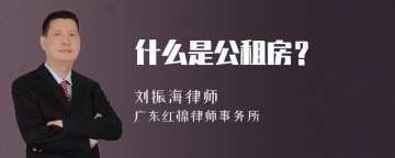 什么是公租房？