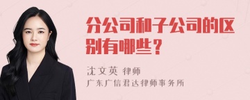 分公司和子公司的区别有哪些？