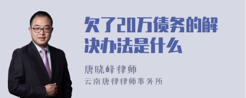 欠了20万债务的解决办法是什么