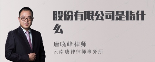 股份有限公司是指什么