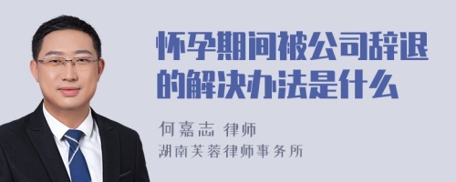 怀孕期间被公司辞退的解决办法是什么