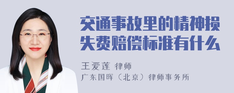 交通事故里的精神损失费赔偿标准有什么