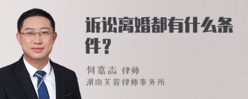 诉讼离婚都有什么条件？