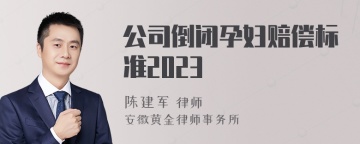 公司倒闭孕妇赔偿标准2023