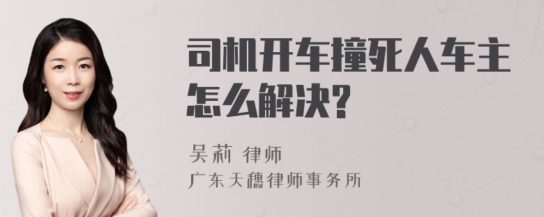 司机开车撞死人车主怎么解决?