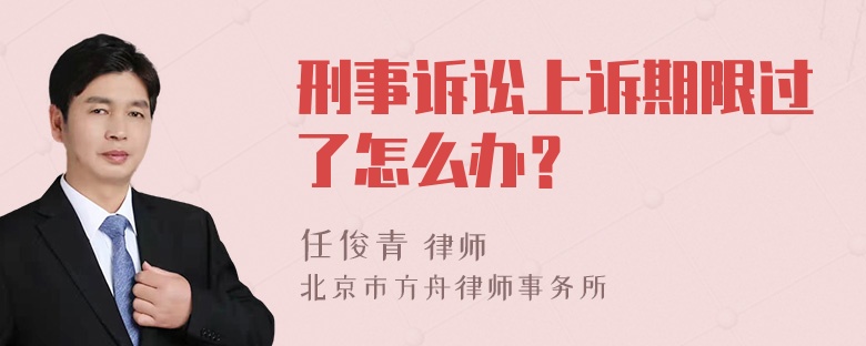 刑事诉讼上诉期限过了怎么办？