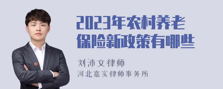 2023年农村养老保险新政策有哪些