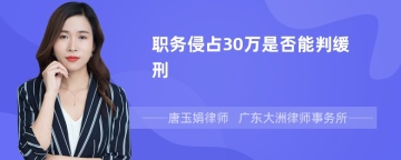 职务侵占30万是否能判缓刑