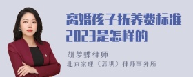 离婚孩子抚养费标准2023是怎样的