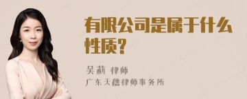 有限公司是属于什么性质?