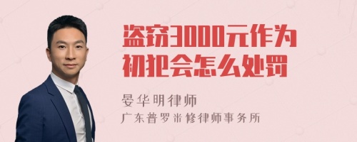 盗窃3000元作为初犯会怎么处罚