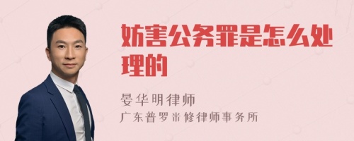 妨害公务罪是怎么处理的