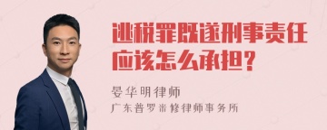 逃税罪既遂刑事责任应该怎么承担？