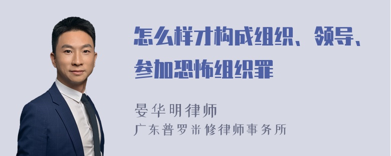 怎么样才构成组织、领导、参加恐怖组织罪