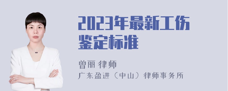 2023年最新工伤鉴定标准