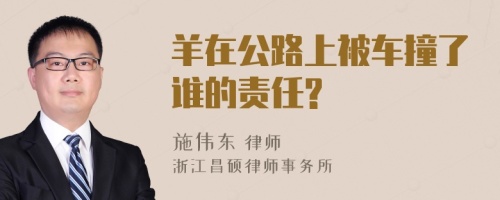 羊在公路上被车撞了谁的责任?