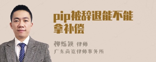 pip被辞退能不能拿补偿