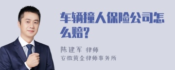 车辆撞人保险公司怎么赔?