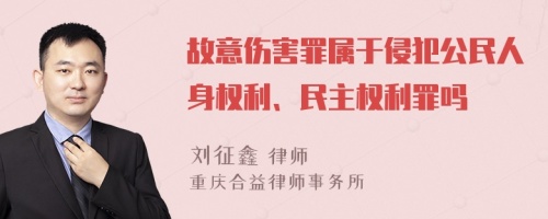 故意伤害罪属于侵犯公民人身权利、民主权利罪吗