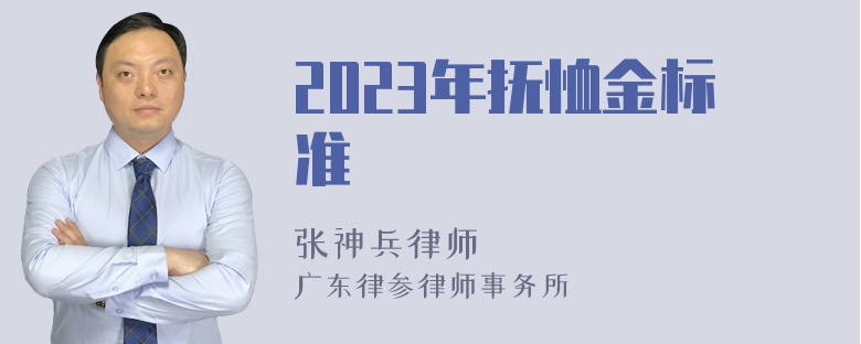 2023年抚恤金标准