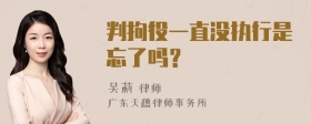 判拘役一直没执行是忘了吗？