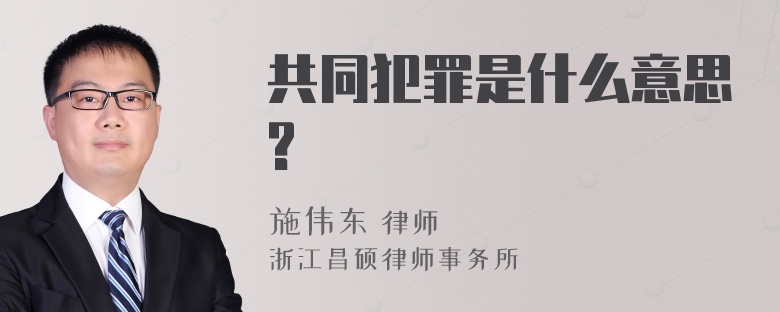 共同犯罪是什么意思?