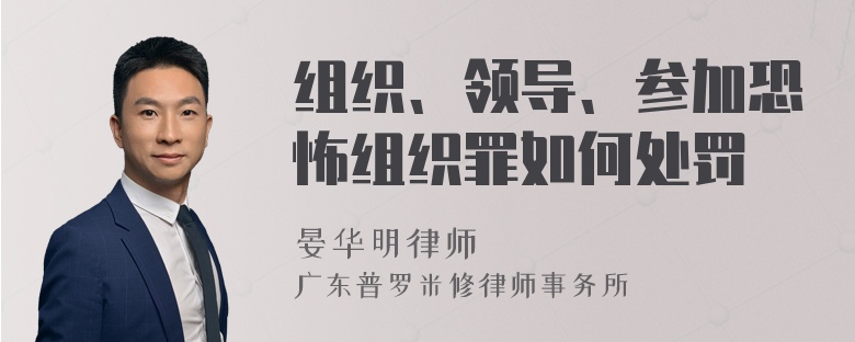 组织、领导、参加恐怖组织罪如何处罚