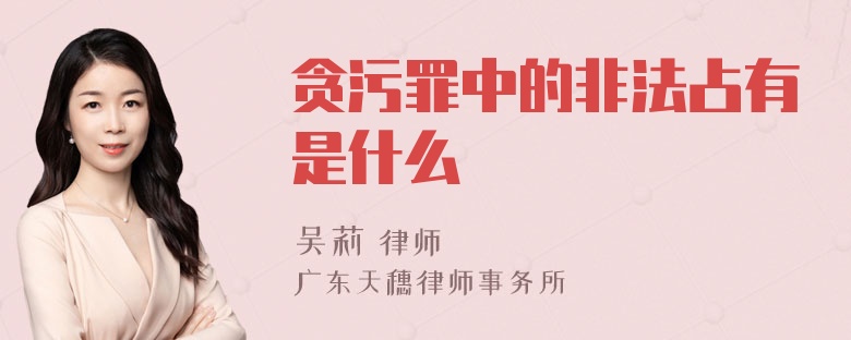 贪污罪中的非法占有是什么