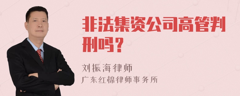 非法集资公司高管判刑吗？