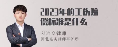 2023年的工伤赔偿标准是什么