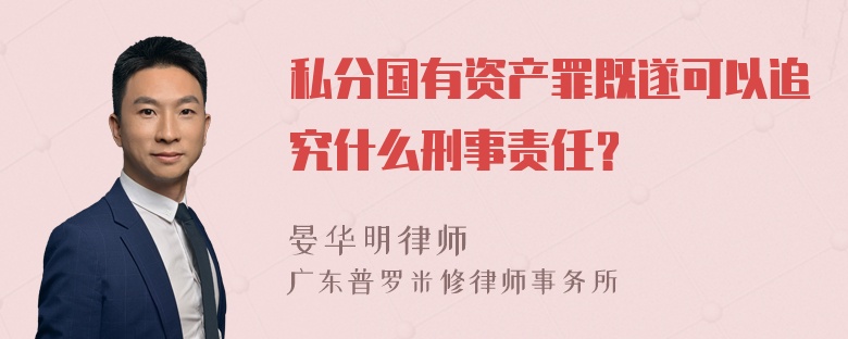 私分国有资产罪既遂可以追究什么刑事责任？