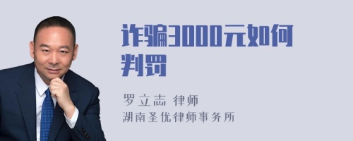 诈骗3000元如何判罚