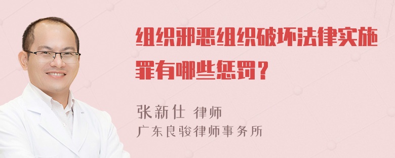 组织邪恶组织破坏法律实施罪有哪些惩罚？