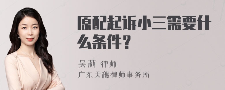 原配起诉小三需要什么条件？