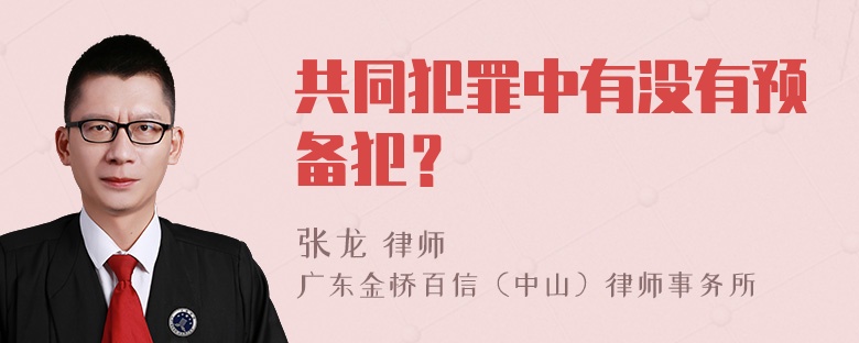 共同犯罪中有没有预备犯？