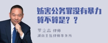 妨害公务罪没有暴力算不算是? ?