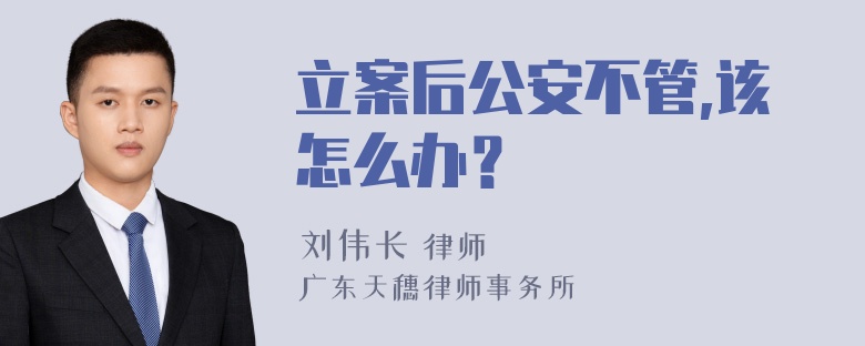 立案后公安不管,该怎么办？