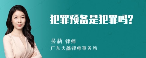 犯罪预备是犯罪吗?