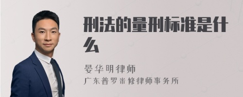 刑法的量刑标准是什么