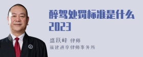 醉驾处罚标准是什么2023