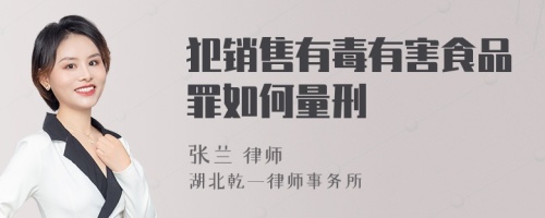 犯销售有毒有害食品罪如何量刑